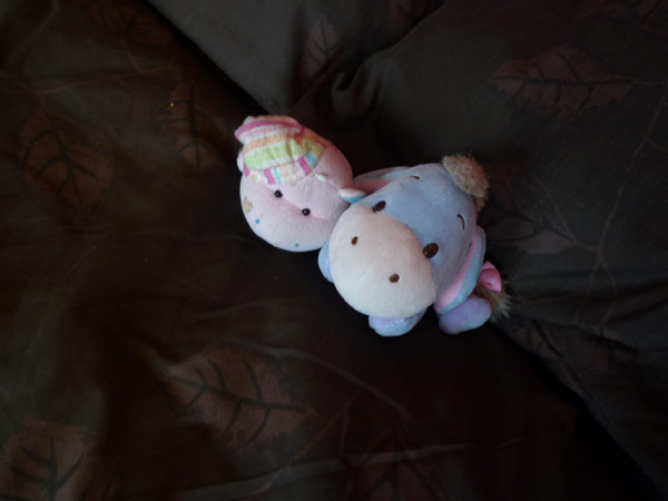 the lucky ones get to sleep on velvety chocolate