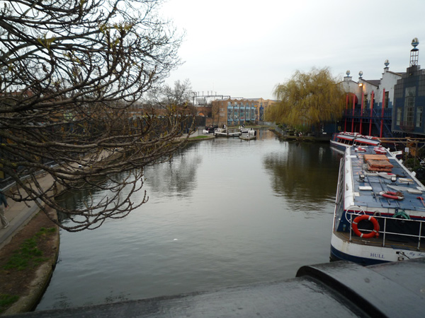 A peaceful scenery amidst the chaos.