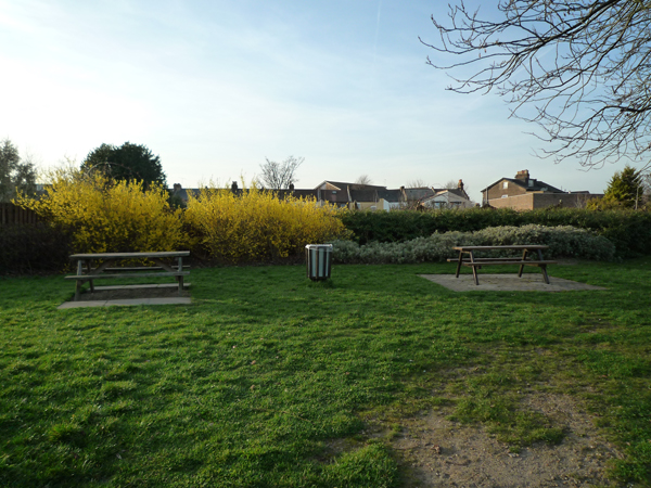 Nice place for picnic